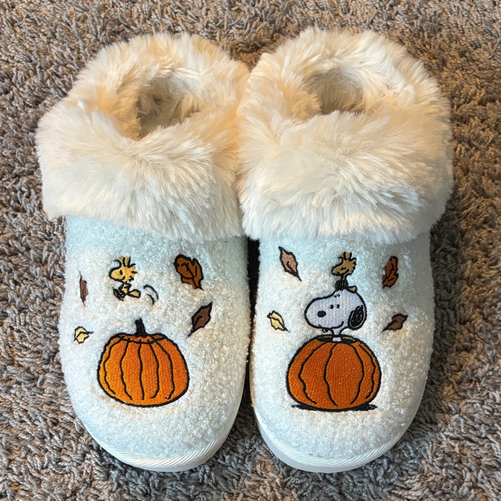 🎃American Eagle Slippers🦇